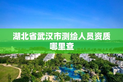 湖北省武汉市测绘人员资质哪里查