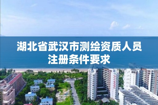 湖北省武汉市测绘资质人员注册条件要求