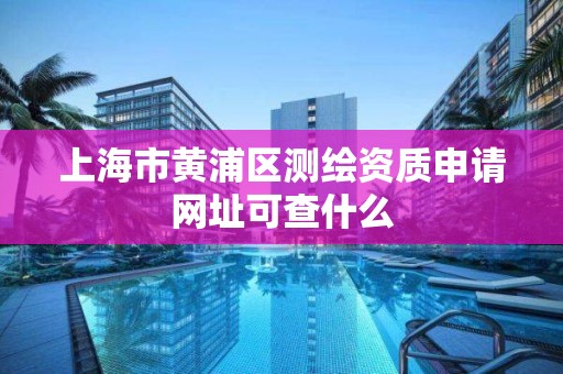 上海市黄浦区测绘资质申请网址可查什么