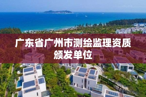 广东省广州市测绘监理资质颁发单位