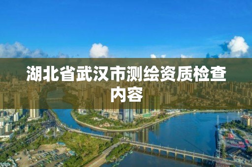 湖北省武汉市测绘资质检查内容