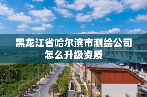 黑龙江省哈尔滨市测绘公司怎么升级资质