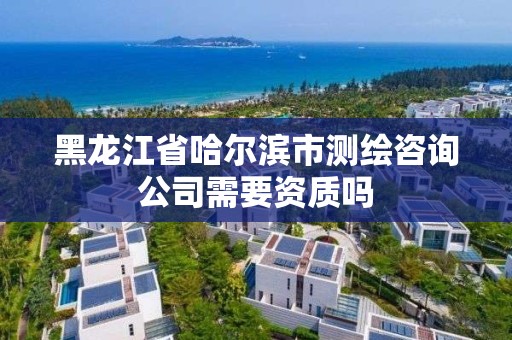 黑龙江省哈尔滨市测绘咨询公司需要资质吗