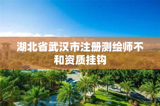 湖北省武汉市注册测绘师不和资质挂钩