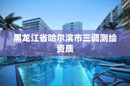 黑龙江省哈尔滨市三调测绘资质