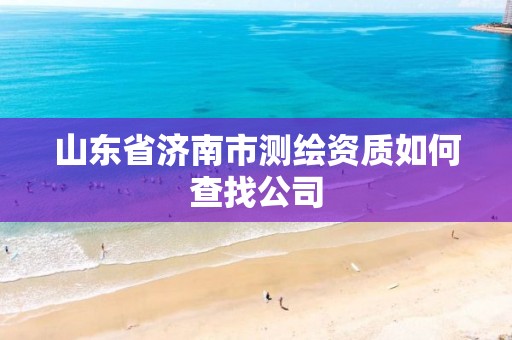 山东省济南市测绘资质如何查找公司