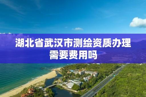 湖北省武汉市测绘资质办理需要费用吗