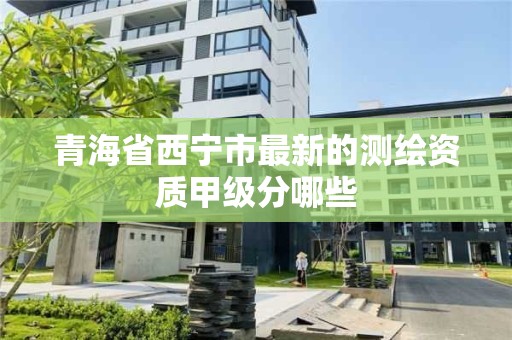 青海省西宁市最新的测绘资质甲级分哪些