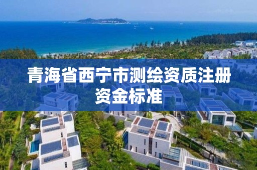 青海省西宁市测绘资质注册资金标准