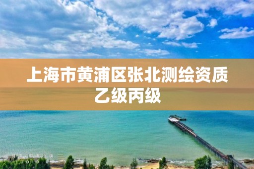 上海市黄浦区张北测绘资质乙级丙级