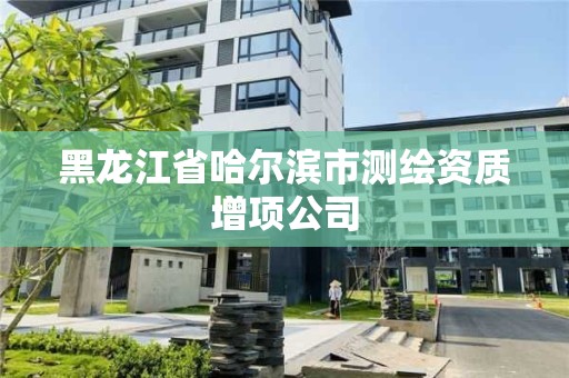 黑龙江省哈尔滨市测绘资质增项公司