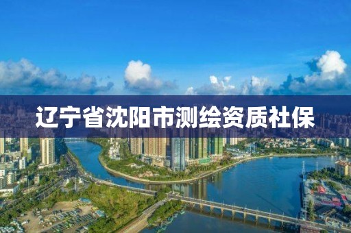 辽宁省沈阳市测绘资质社保