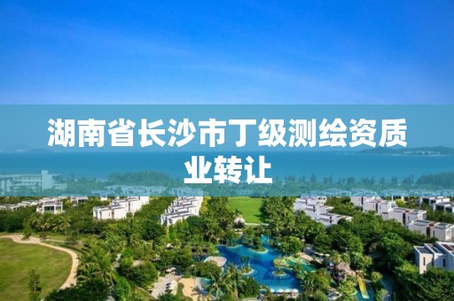 湖南省长沙市丁级测绘资质业转让