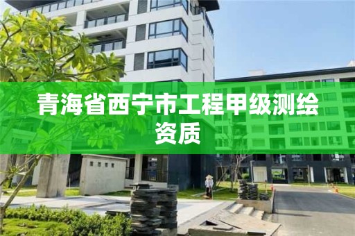 青海省西宁市工程甲级测绘资质