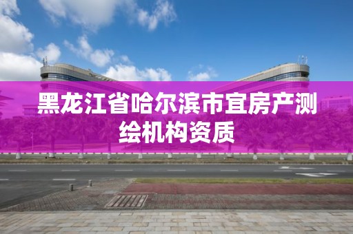 黑龙江省哈尔滨市宜房产测绘机构资质