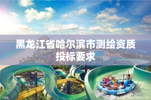 黑龙江省哈尔滨市测绘资质投标要求