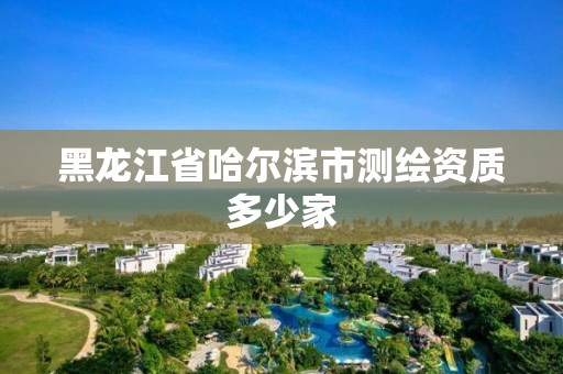 黑龙江省哈尔滨市测绘资质多少家