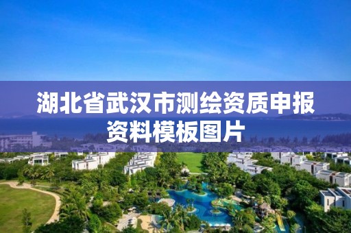 湖北省武汉市测绘资质申报资料模板图片