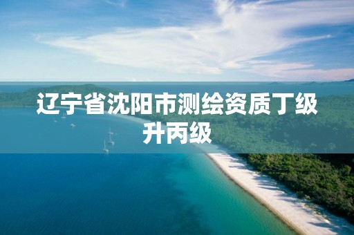 辽宁省沈阳市测绘资质丁级升丙级