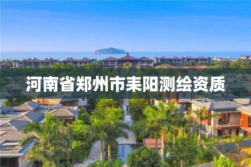 河南省郑州市耒阳测绘资质