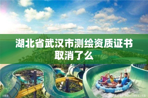 湖北省武汉市测绘资质证书取消了么