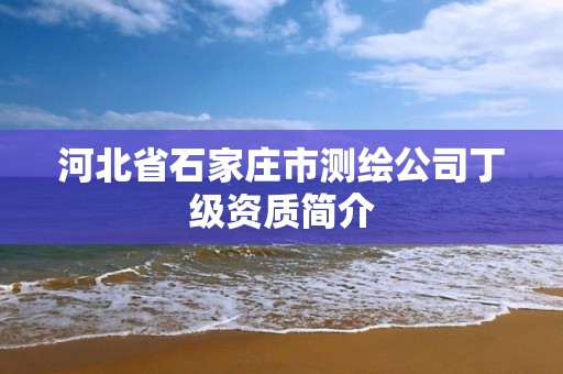 河北省石家庄市测绘公司丁级资质简介