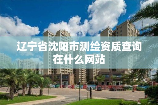 辽宁省沈阳市测绘资质查询在什么网站