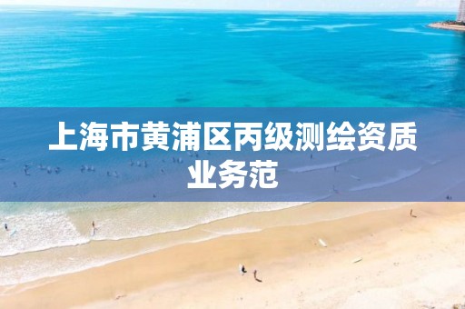 上海市黄浦区丙级测绘资质业务范