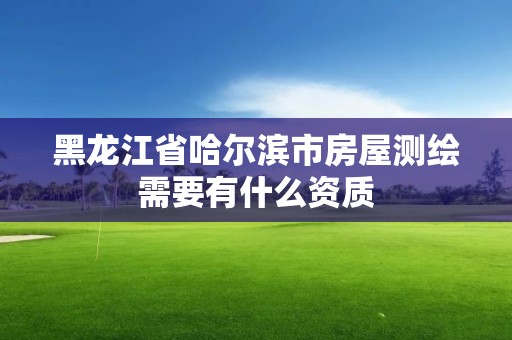 黑龙江省哈尔滨市房屋测绘需要有什么资质