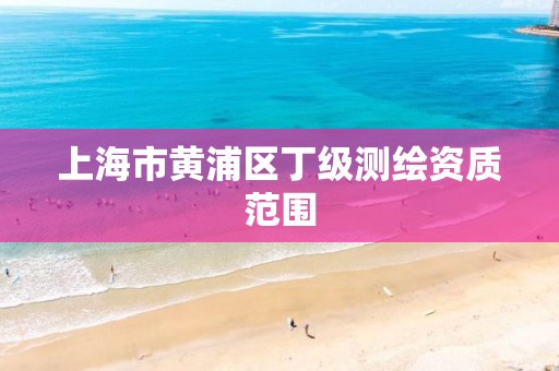 上海市黄浦区丁级测绘资质范围