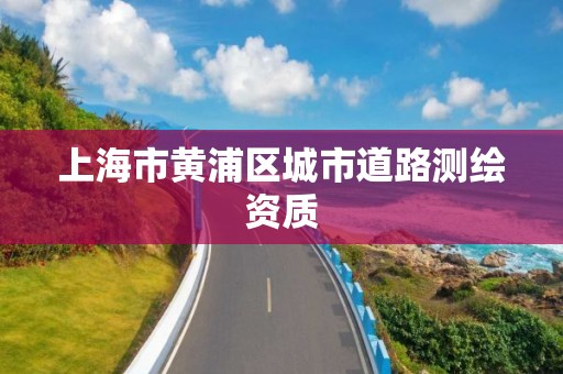 上海市黄浦区城市道路测绘资质