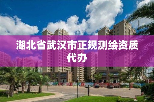 湖北省武汉市正规测绘资质代办