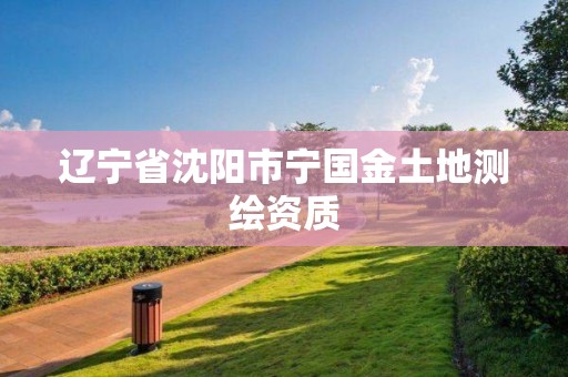 辽宁省沈阳市宁国金土地测绘资质