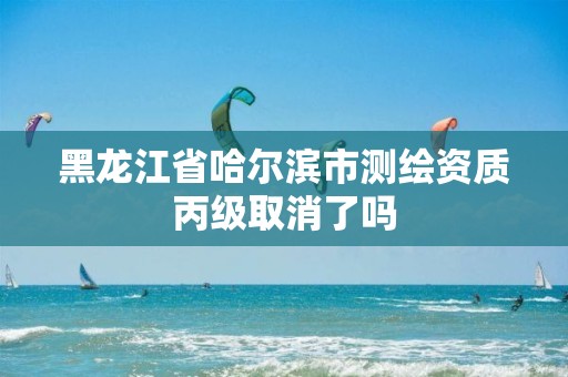 黑龙江省哈尔滨市测绘资质丙级取消了吗