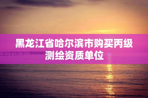 黑龙江省哈尔滨市购买丙级测绘资质单位