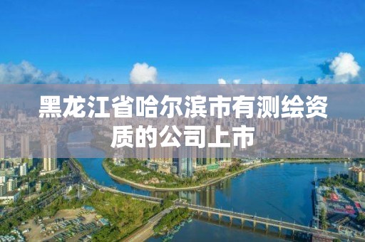 黑龙江省哈尔滨市有测绘资质的公司上市