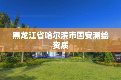 黑龙江省哈尔滨市国安测绘资质