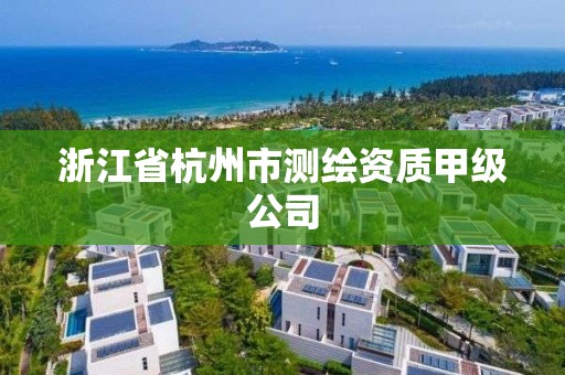 浙江省杭州市测绘资质甲级公司