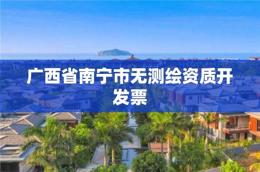 广西省南宁市无测绘资质开发票