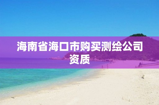 海南省海口市购买测绘公司资质