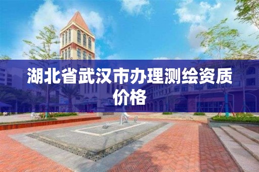 湖北省武汉市办理测绘资质价格