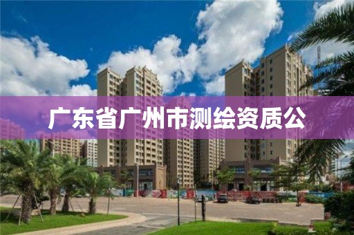 广东省广州市测绘资质公