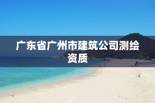 广东省广州市建筑公司测绘资质