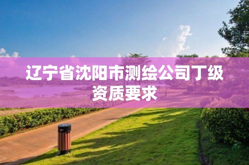 辽宁省沈阳市测绘公司丁级资质要求