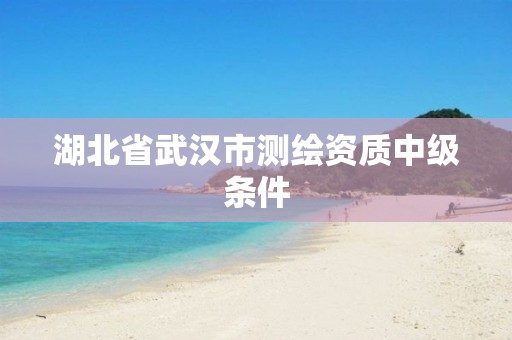 湖北省武汉市测绘资质中级条件