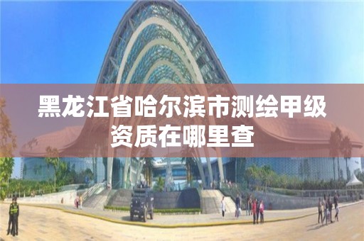 黑龙江省哈尔滨市测绘甲级资质在哪里查