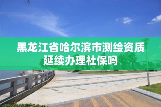 黑龙江省哈尔滨市测绘资质延续办理社保吗