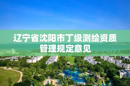 辽宁省沈阳市丁级测绘资质管理规定意见