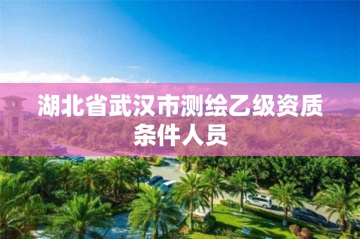 湖北省武汉市测绘乙级资质条件人员