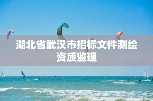 湖北省武汉市招标文件测绘资质监理